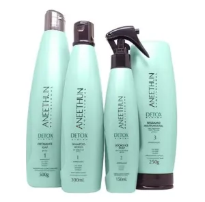 Detox System Hair Healthy Antioxidant Refresh Treatment Kit 4 Itens - Aneethun