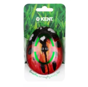 Kent Pebble Detangling Ladybug Brush